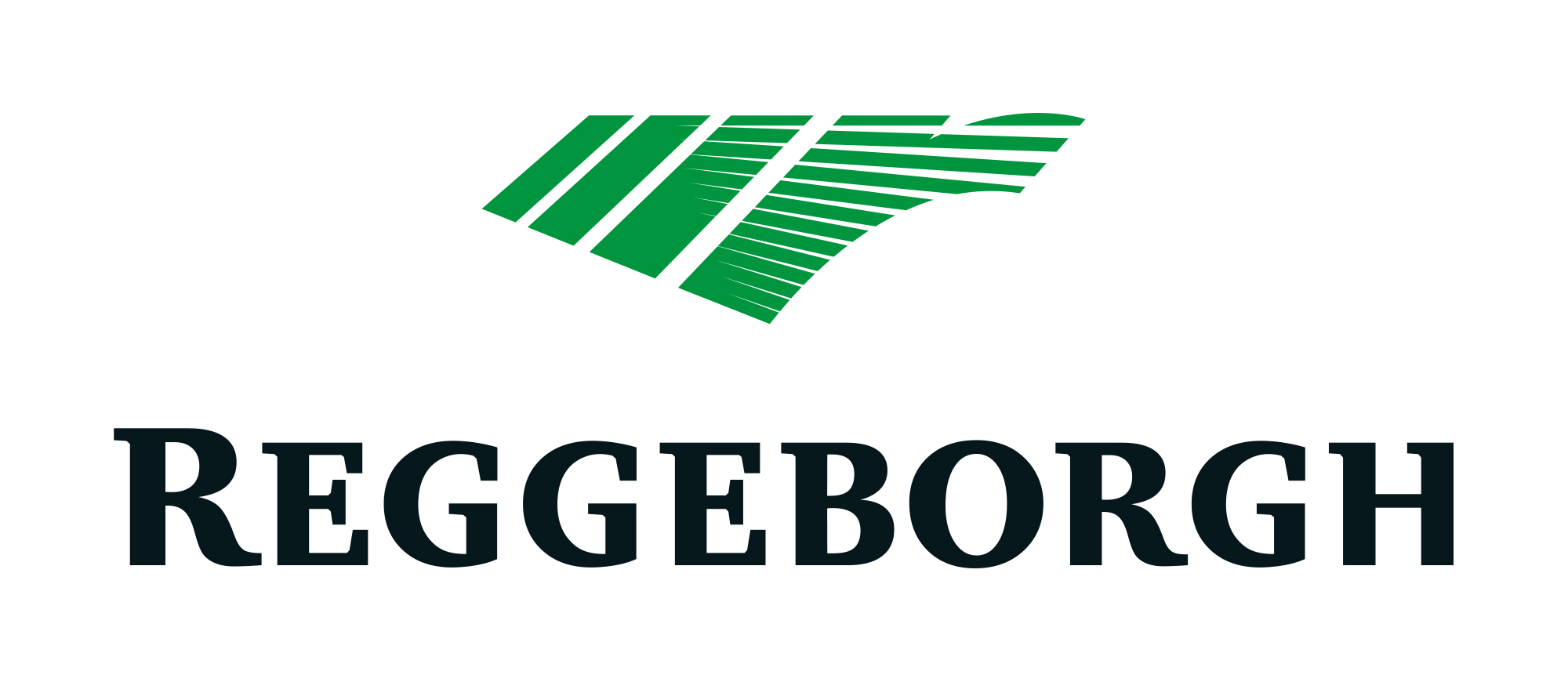 Sponsor 3